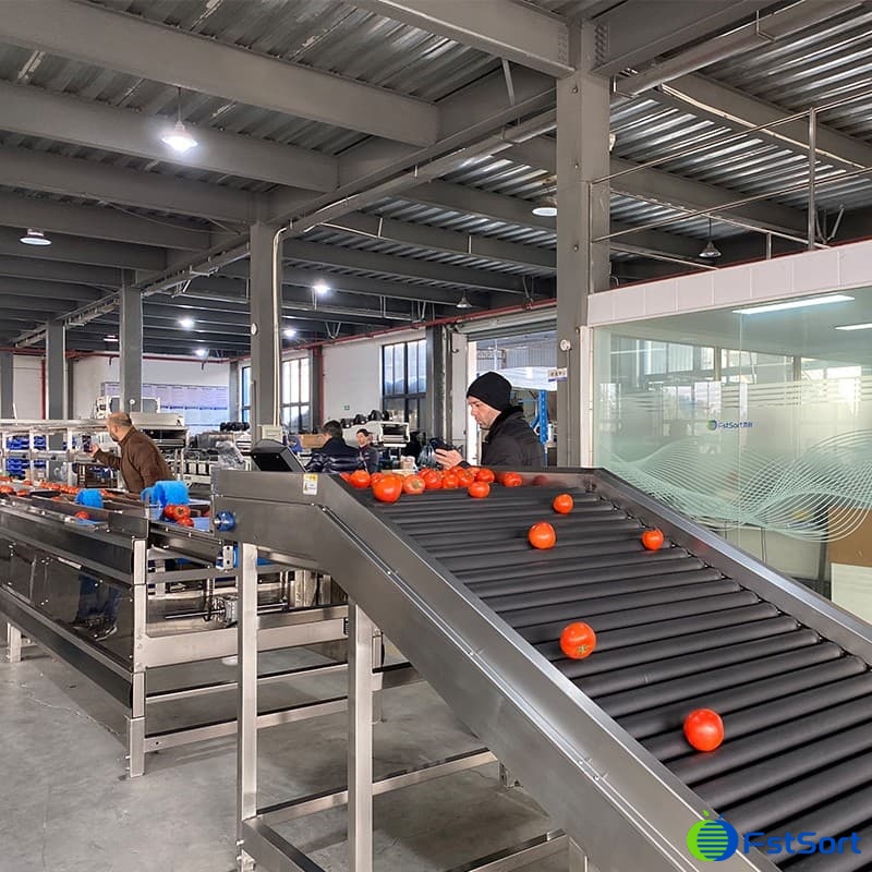 fruit vegetable sorting machine.jpg fruit vegetable sorting machine.jpg